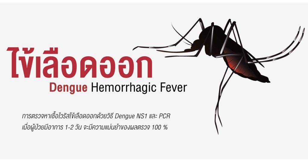 ไข้เลือดออกเชื้อไวรัสแดงกี (Dengue Hemorrhagic Fever) - Bangkok Hospital  Pattaya