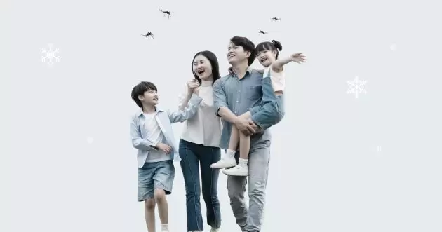 Dengue Vaccine Package